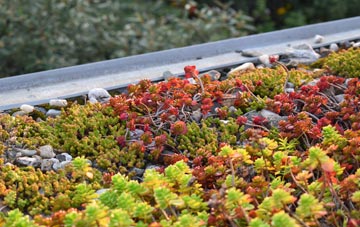the cost of Collingwood green roof installation